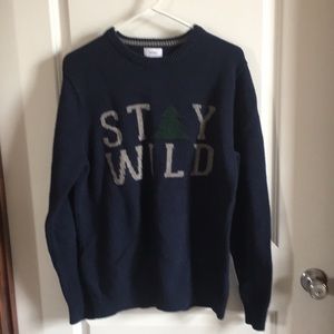 Stay Wild Blue Sweater Cozy